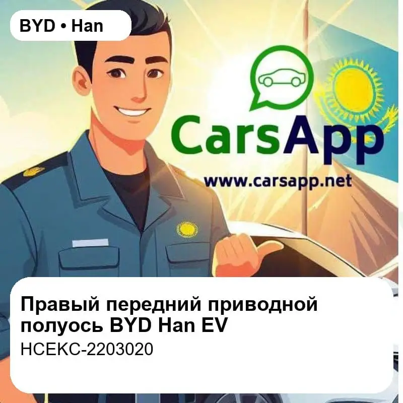 file_18186.jpg