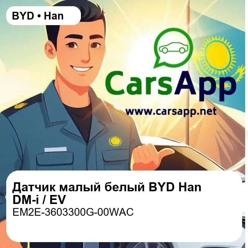 file_18379.jpg