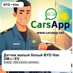 file_18379.jpg