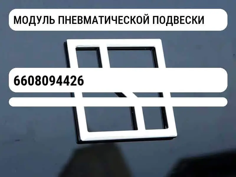 file_687.jpg