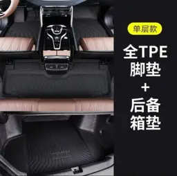 Однослойные полики, коврики в салон и багажник Honda e:NS1, TPE