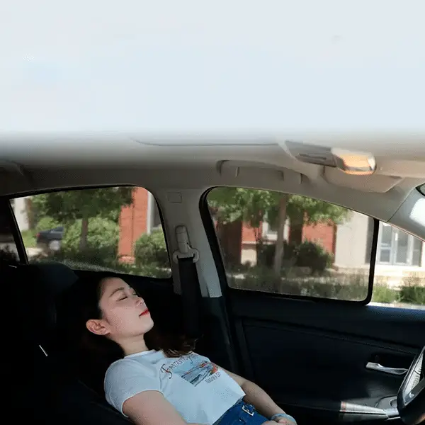 Комплект солнцезащитных шторок, Honda e:NS1 из 4 штук