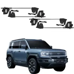 Комплект доводчиков BYD Leopard 5, тип 2